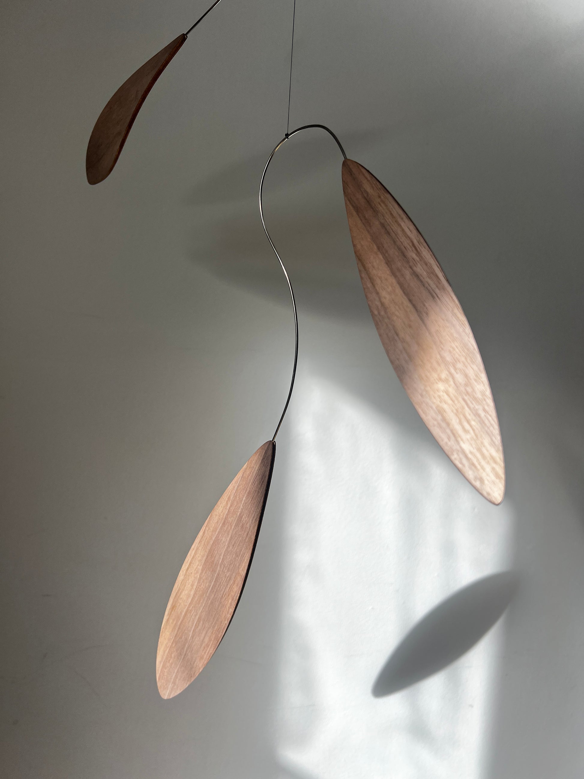 Large 1 metre walnut leaf mobile hanging on a wall beside artist, handcrafted layered walnut veneer wooden mobile with curved leaf forms and stainless steel wire, modern kinetic sculpture, moving art for adults, mid century decor, Scandinavian design minimalist decor, Calder inspired art mobile, unique designer home decor, wood hanging art for living room, gallery wall decor, contemporary mobile handmade in the UK by The Illuminist, soothing balancing art and modern wood art