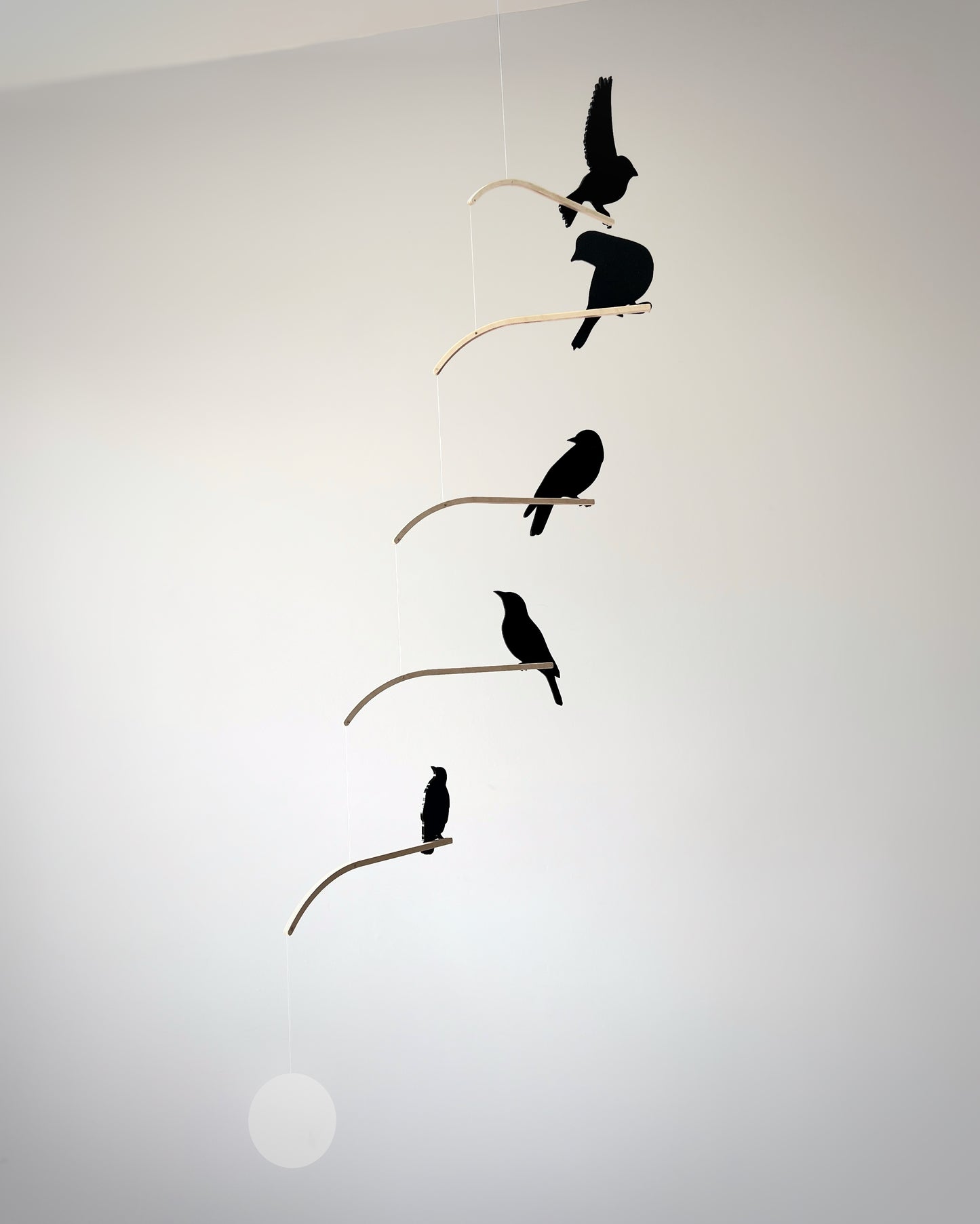Nosey Bird Kinetic Mobile Sculpture, Adult & Baby Mobile. Hanging Silhouette Wall Art, Counterbalanced Handcrafted Acrylic & Wood Bird Mobile

Introducing ‘Nosey Birds’ - A fun piece of kinetic art that will bring movement and interest to any room. Handcrafted from responsibly sourced engineered birch, this unique mobile features 5 laser cut bird silhouettes of increasing size in a stunning frosted black acrylic. Composed so the birds are looking towards each other while perched on the curved birch arm.