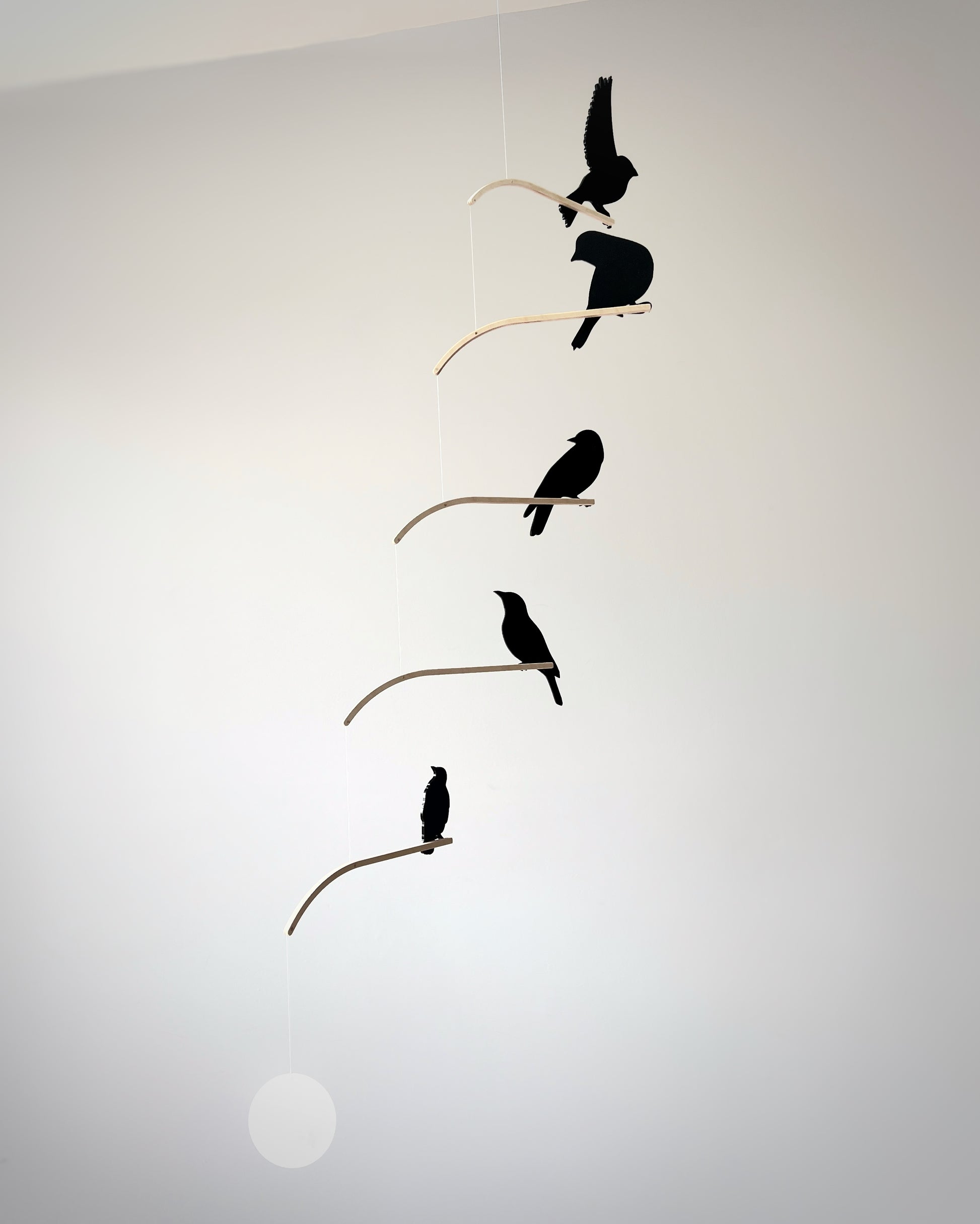 Nosey Bird Kinetic Mobile Sculpture, Adult & Baby Mobile. Hanging Silhouette Wall Art, Counterbalanced Handcrafted Acrylic & Wood Bird Mobile

Introducing ‘Nosey Birds’ - A fun piece of kinetic art that will bring movement and interest to any room. Handcrafted from responsibly sourced engineered birch, this unique mobile features 5 laser cut bird silhouettes of increasing size in a stunning frosted black acrylic. Composed so the birds are looking towards each other while perched on the curved birch arm.